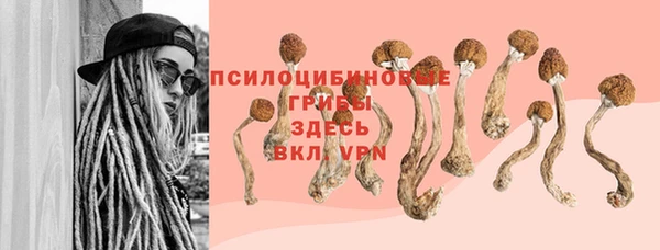 кокс Пересвет