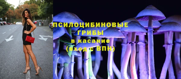 ALPHA PVP Переславль-Залесский