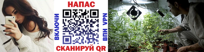 Купить закладки Кандалакша Канабис конопля